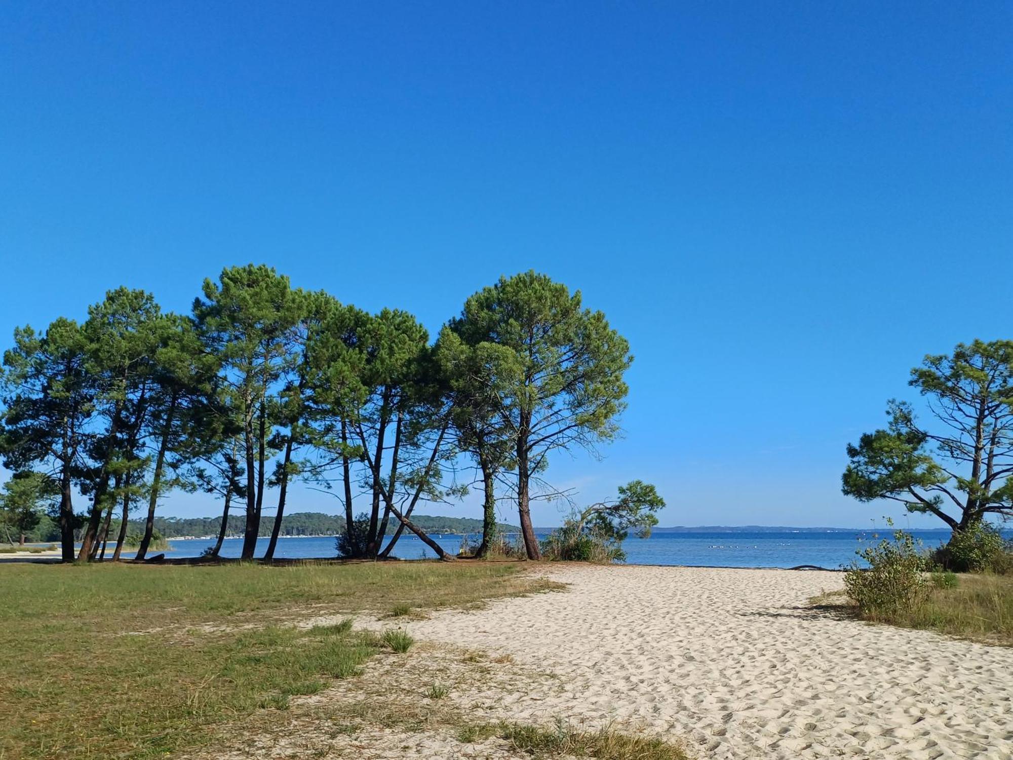 Magnifique Avec Piscine *