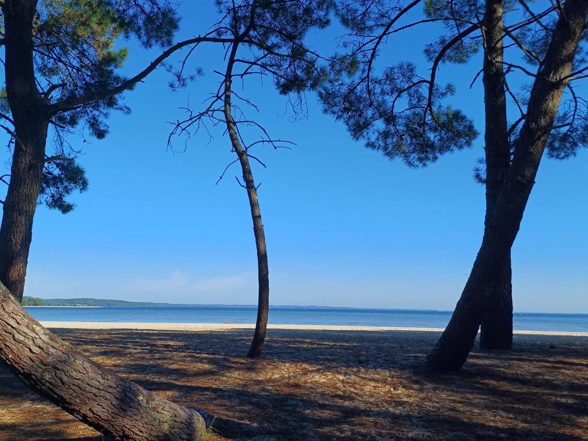 Magnifique Avec Piscine * Biscarrosse